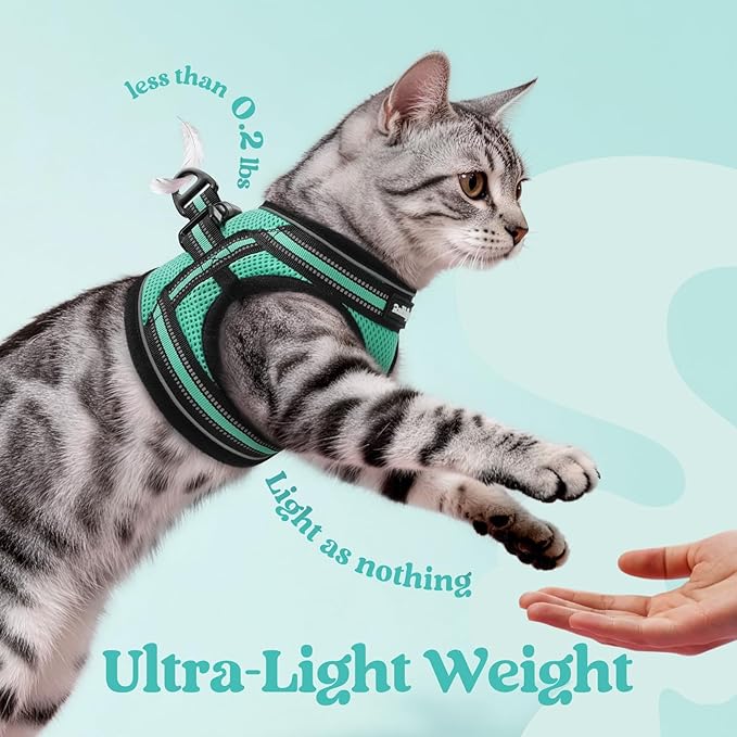 rabbitgoo Cat Harness and Leash, Step-in Escape Proof Kitten Harness Set - Image 6
