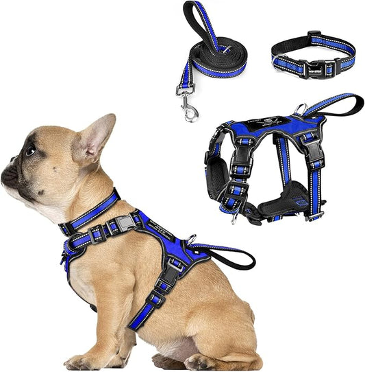 WINSEE Pet Harness Collar and Leash Set, All-in-one Reflective Dog Harness No by WINSEE