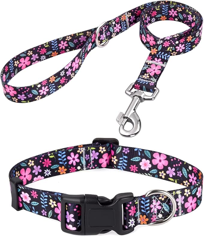 Mihqy Dog Collar and Leash Set by Mihqy