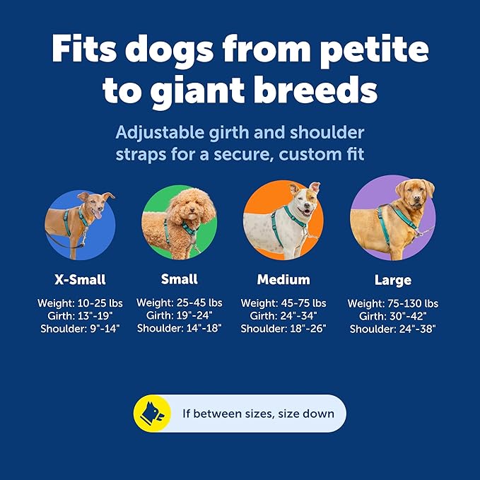 PetSafe 3 in 1 No-Pull Dog Harness - Image 6