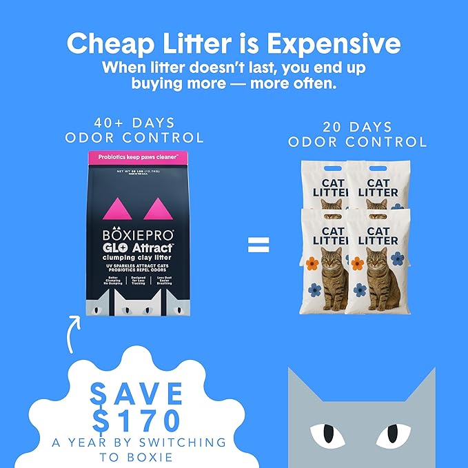 Boxie Glo Clumping Clay 30 Day Odor Control Cat Litter, 99.9% Dust-Free - Image 3