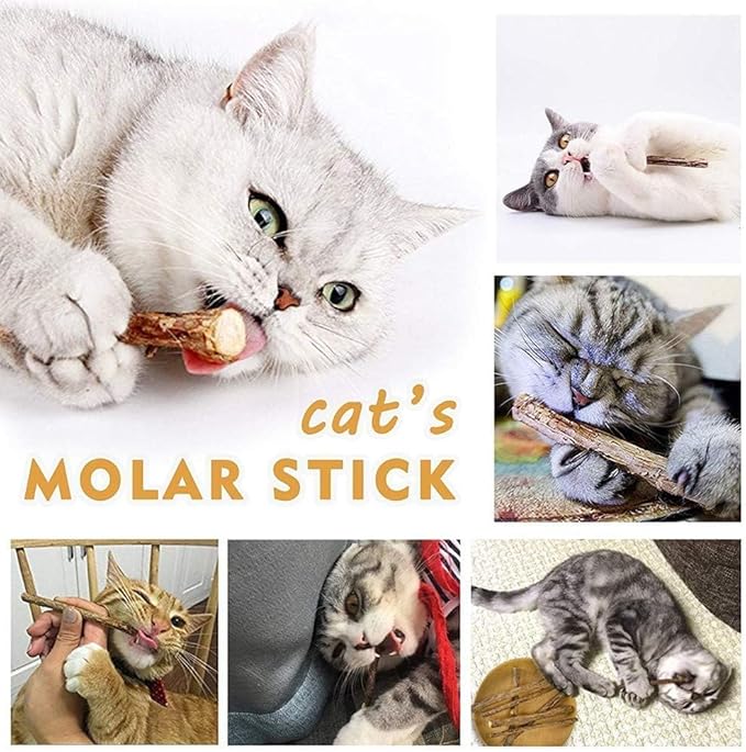 AILUKI 35 PCS Cat Toys Kitten Toys Assortments, Variety Catnip Toy Set - Image 7