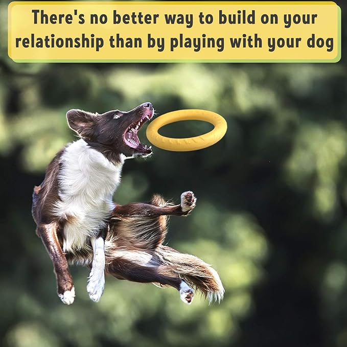 PetSpy Dog Ring Toy – Flying Ring - Image 4