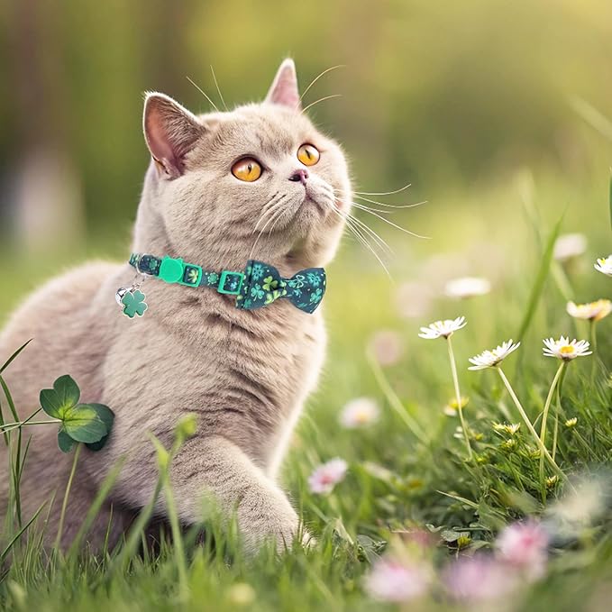 PUPTECK Cat Collar Breakaway - Image 3
