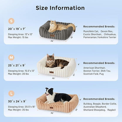 ZOMISIA Small Dog Beds for Small Dogs - Image 2