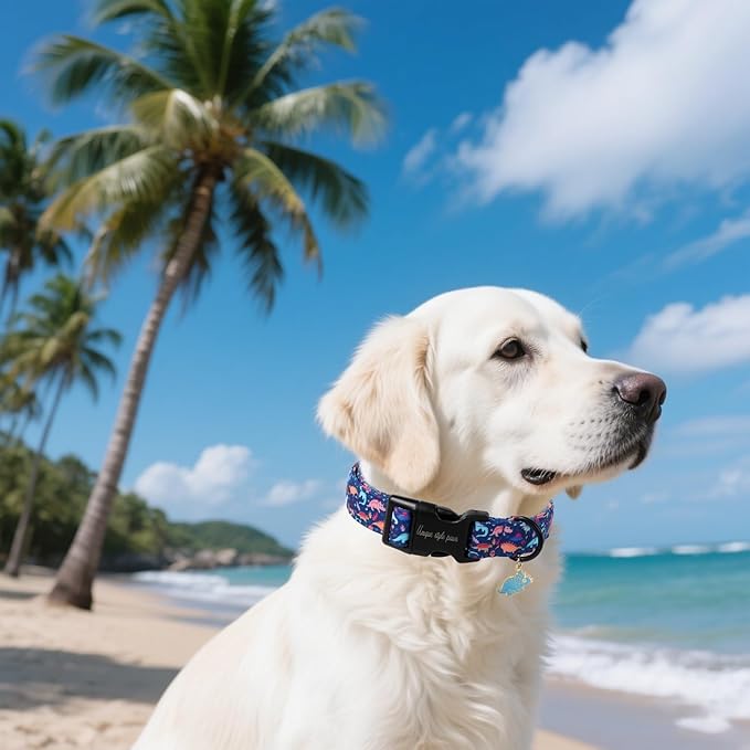 Unique style paws Dog Collar Plastic Buckle - Image 4