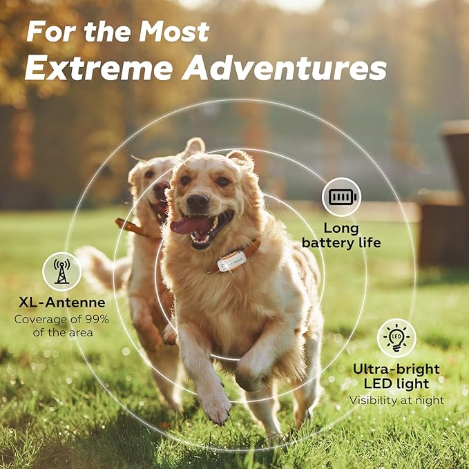 DBDD Smart GPS Tracker for Dogs - Image 2