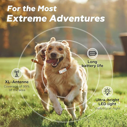DBDD Smart GPS Tracker for Dogs - Image 2