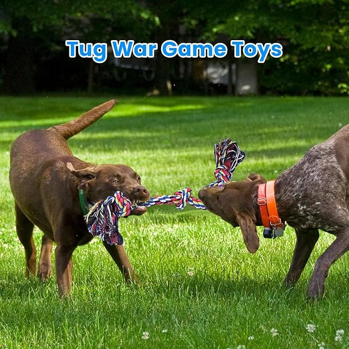 Feeko Heavy Duty Dog Rope Toys for Large Breed Aggressive Chewers, 2 Pack - Image 4