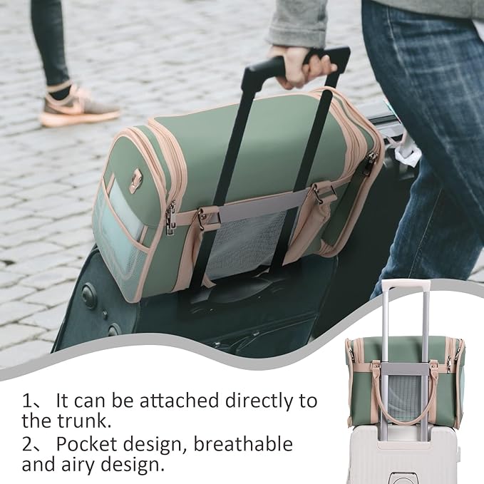 Luxury Mint Green PU Leather Pet Carrier Bag, Airline Compliant Portable Travel - Image 5