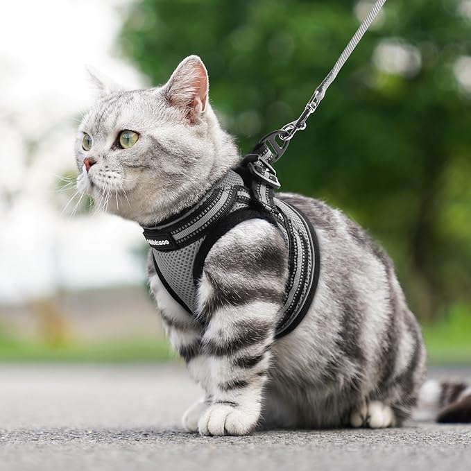 rabbitgoo Cat Harness and Leash, Step-in Escape Proof Kitten Harness Set - Image 9