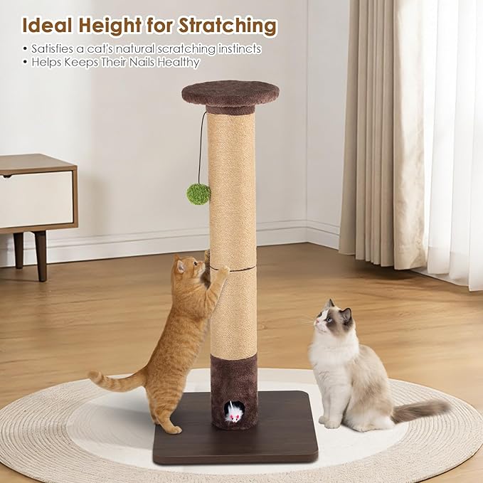 Cat Scratching Post for Indoor Cats Adults – 33.46" Tall Stylish Sisal Scratcher - Image 6