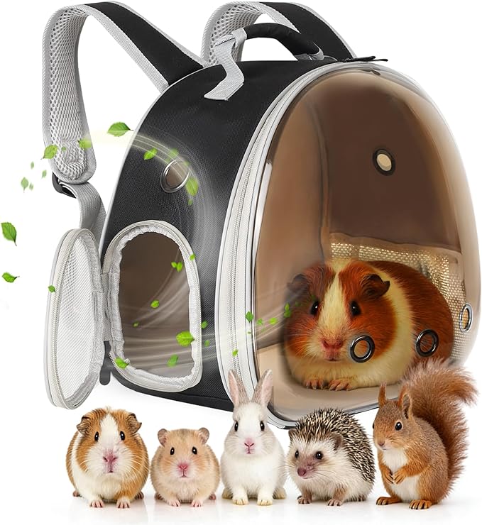 Portable Guinea Pig Backpack, Polarized Bubble Backpack by LightUpYourPetsLife