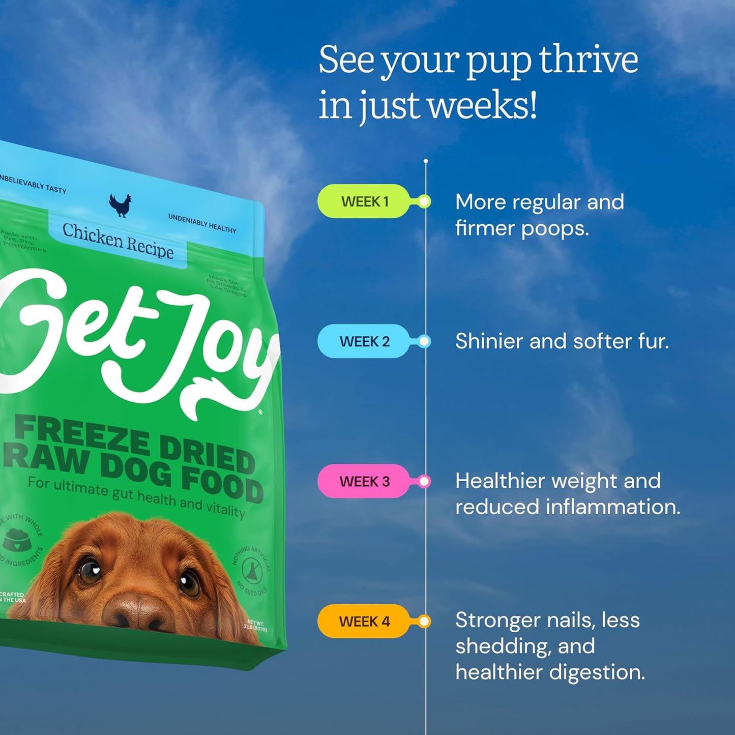 Get Joy Gut Health Fresh Freeze Dried Raw Meal, Chicken Recipe, 16 Ounce Bag, Dog Food for Dogs of All Breeds and Life Stages, PhD Animal Nutritionist Formulated, Made in USA