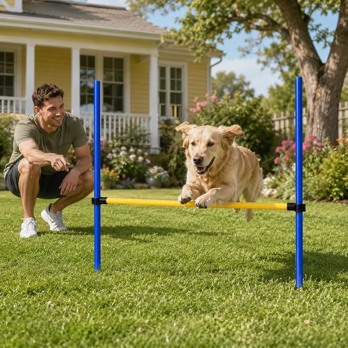 Dog Agility Training Equipment Set, 6 Piece Course - Image 4