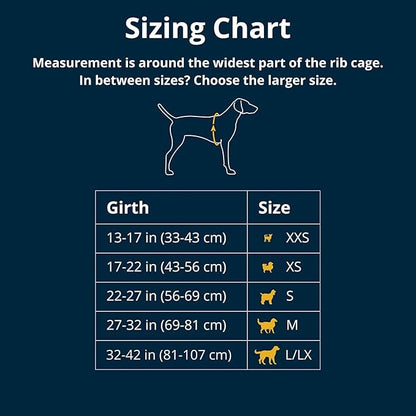Ruffwear, Front Range Dog Harness, Reflective Soft Padded Everyday Harness - Image 2