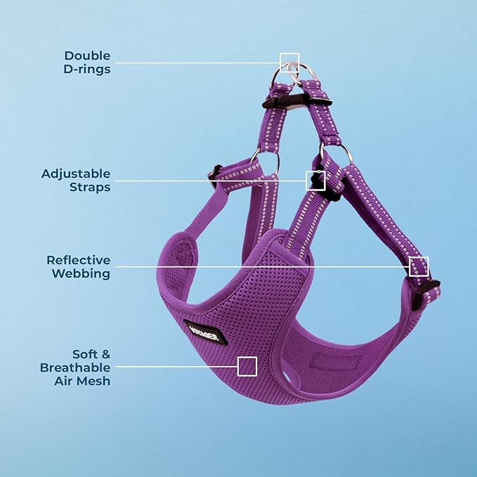 Best Pet Supplies Voyager Adjustable Step-In Flex Breathable Mesh Dog Harness - Image 3