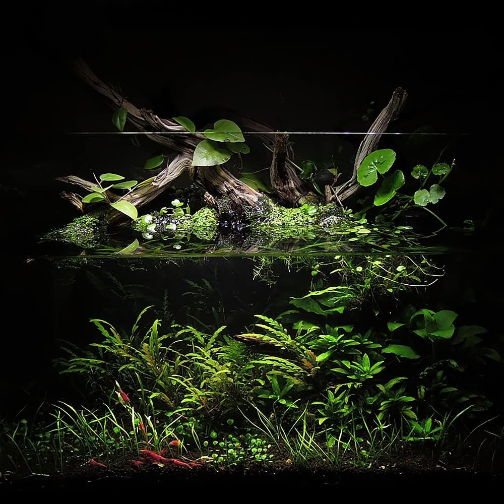 Ultum Nature Systems Controsoil - Freshwater Aqua Soil Substrate for Fish, Shrimp, Live Plant Propagation and Aquascaping - 6.8pH Low Ammonia, Volcanic Ash - Black, Normal (1 Liter | 2LB)