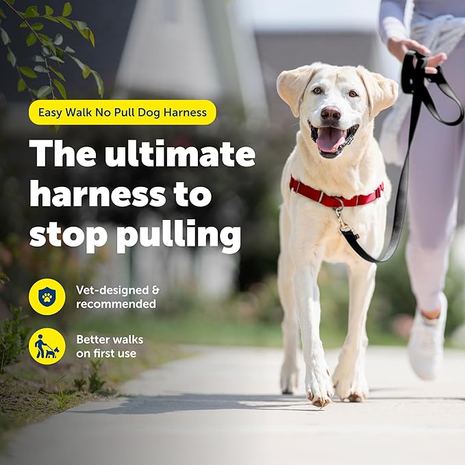 PetSafe Easy Walk No-Pull Dog Harness - Image 3