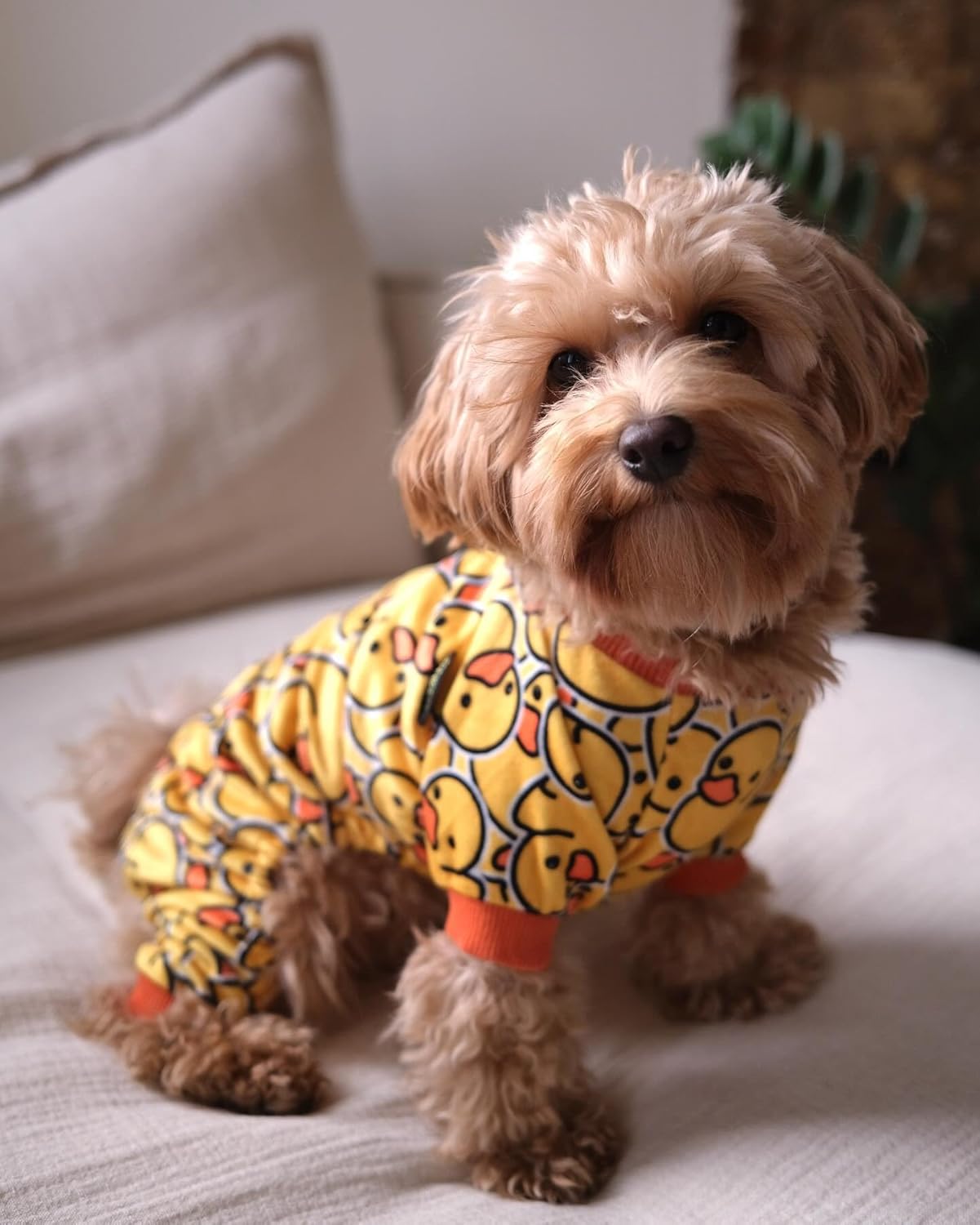 Fitwarm Funny Duck Dog Pajamas, Dog Winter Clothes for Small Dogs Girl, Lightweight Velvet Pet Jumpsuit, Cat Onesie, Yellow, XXL