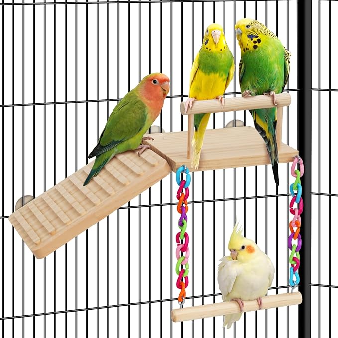 Bird Perches Platform Swing by Unknown