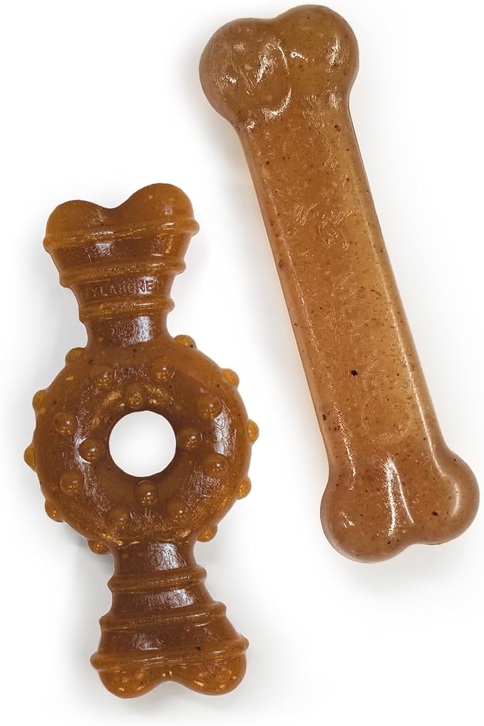 Nylabone Ring Bone & Teething Bone Puppy Chew Toy by Nylabone
