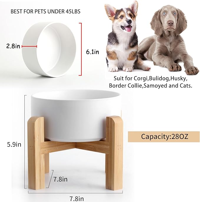 Petygooing 28 OZ White Elevated/Raised Ceramic Dog Bowl - Image 3