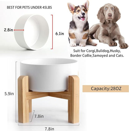 Petygooing 28 OZ White Elevated/Raised Ceramic Dog Bowl - Image 3