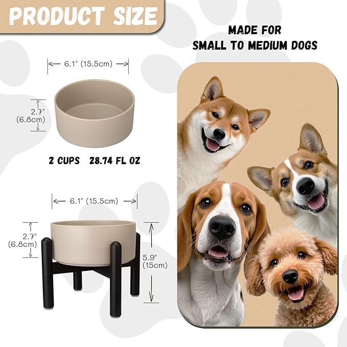 Raised Ceramic Dog Bowl, 6.1'' Modern Feeding Bowl - Image 2