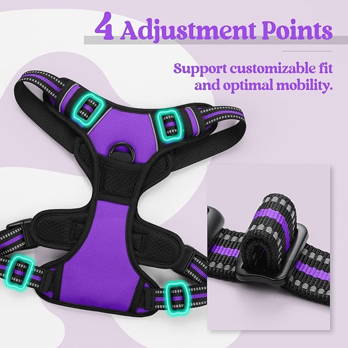 rabbitgoo Dog Harness, No-Pull Pet Harness - Image 4