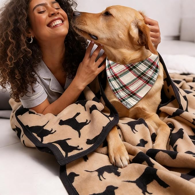 2PCS Dog Bandanas Plaid Two-Sided, Holiday Scarf, Stylish Triangle Dog Outfit - Image 5