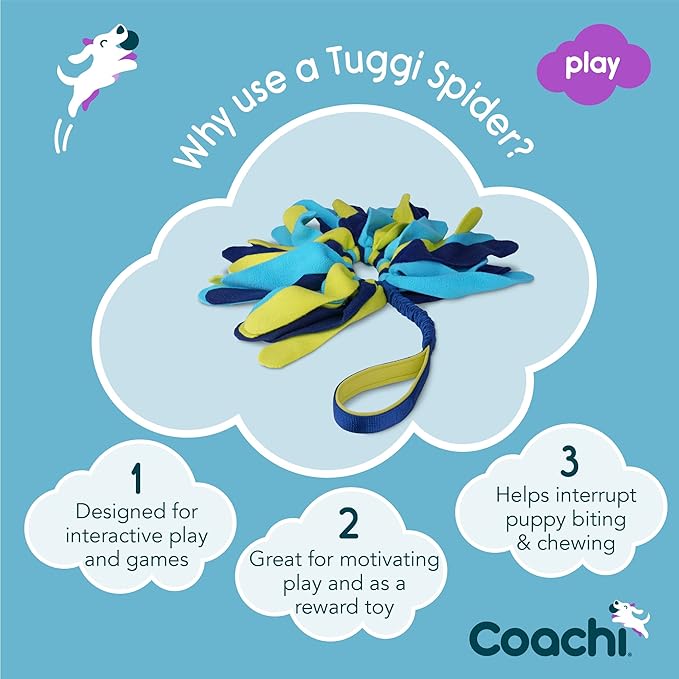 Coachi Tuggi Spider - Image 2