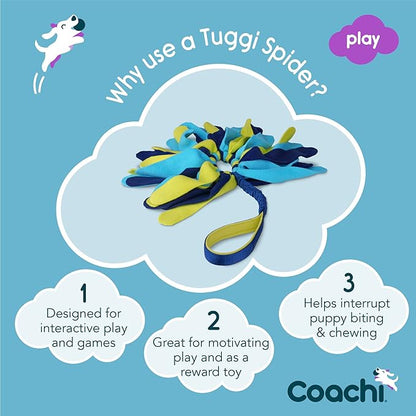 Coachi Tuggi Spider - Image 2