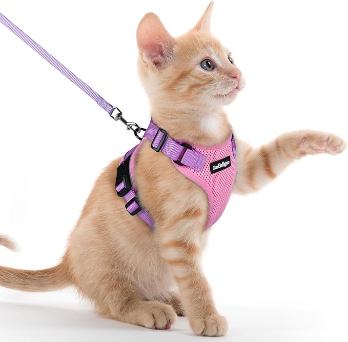 rabbitgoo Cat Harness and Leash Set, Escape Proof Kitten Harness by rabbitgoo