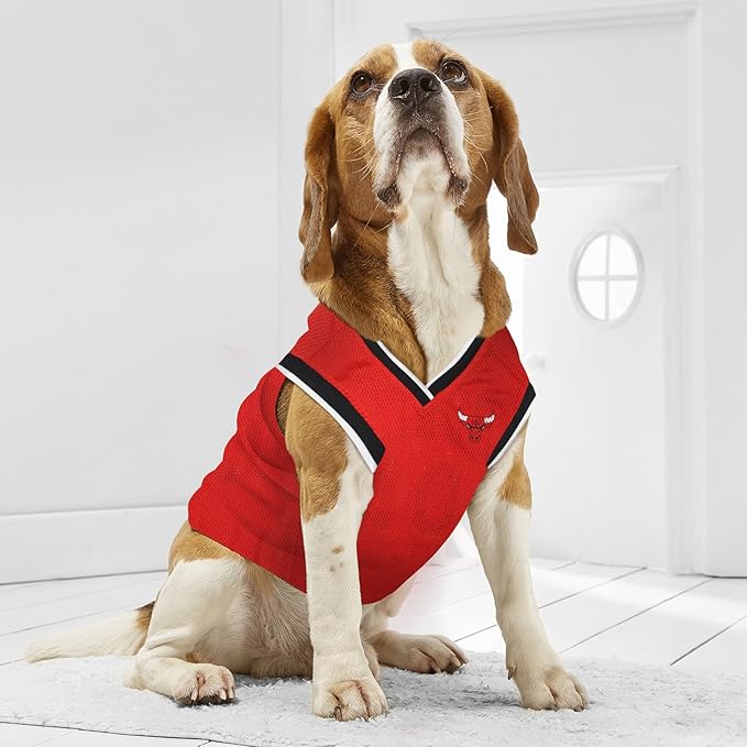 Pets First Jersey, Large - Image 4