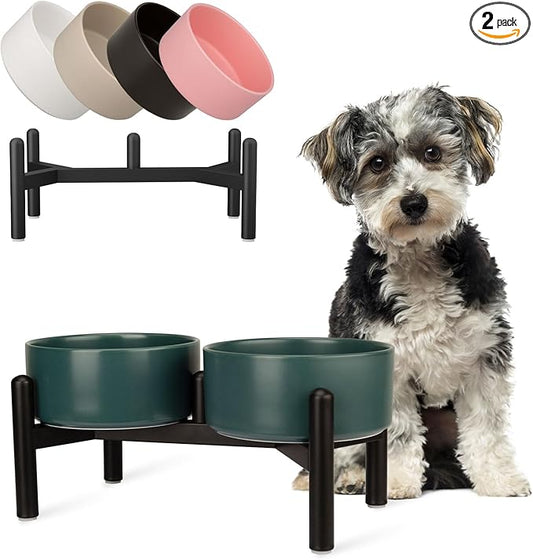 Raised Ceramic Dog Bowl Set by PTOBER