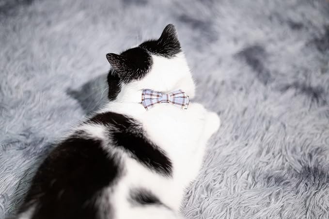 Cat Collar Breakaway Bowtie Safety - Image 5