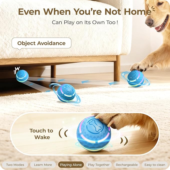 Interactive Dog Toys: Automatic Moving Dog Balls - Image 4