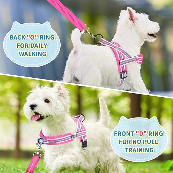 Lukovee No Pull Dog Harness and Leash Set, Soft Padded Small Dog Harness - Image 7