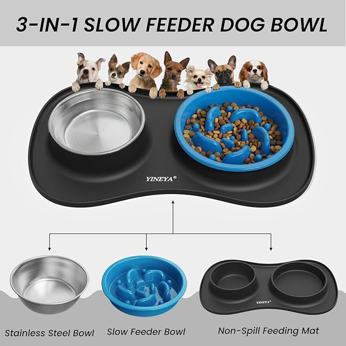 YINEYA 3 in 1 Slow Feeder Dog Bowls & Stainless Steel Food and Water Bowl - Image 2