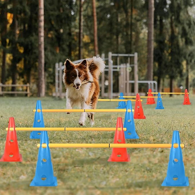TNZMART Dog Agility Hurdle Cones Pet Jump Training Set Dog Agility Course - Image 6