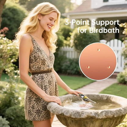4 Pack Copper Disc for Bird Bath, Premium 0.6mm Sturdy 99.99% Pure Copper - Image 2