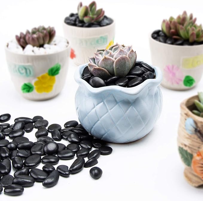 Black Small Decorative Pebbles - Image 3