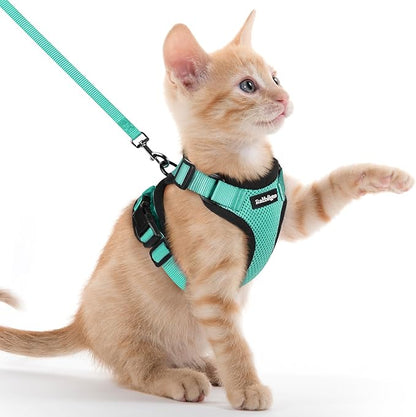 rabbitgoo Cat Harness and Leash Set, Escape Proof Kitten Harness by rabbitgoo