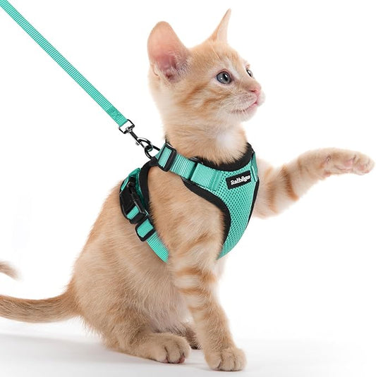 rabbitgoo Cat Harness and Leash Set, Escape Proof Kitten Harness by rabbitgoo
