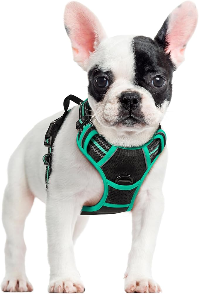 rabbitgoo Dog Harness No Pull by rabbitgoo