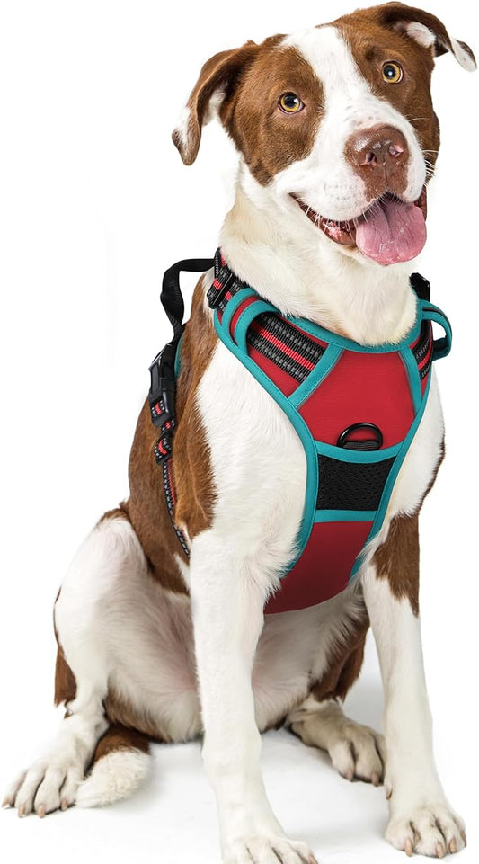rabbitgoo Dog Harness No Pull by rabbitgoo