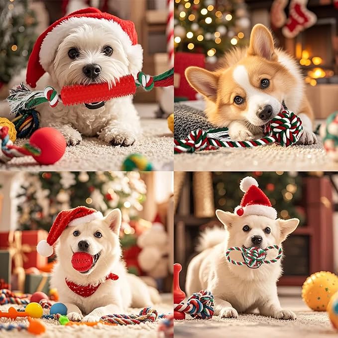 Beiker Christmas Dog Toys Bulk 15 Pack, Puppy Chew Toys - Image 6