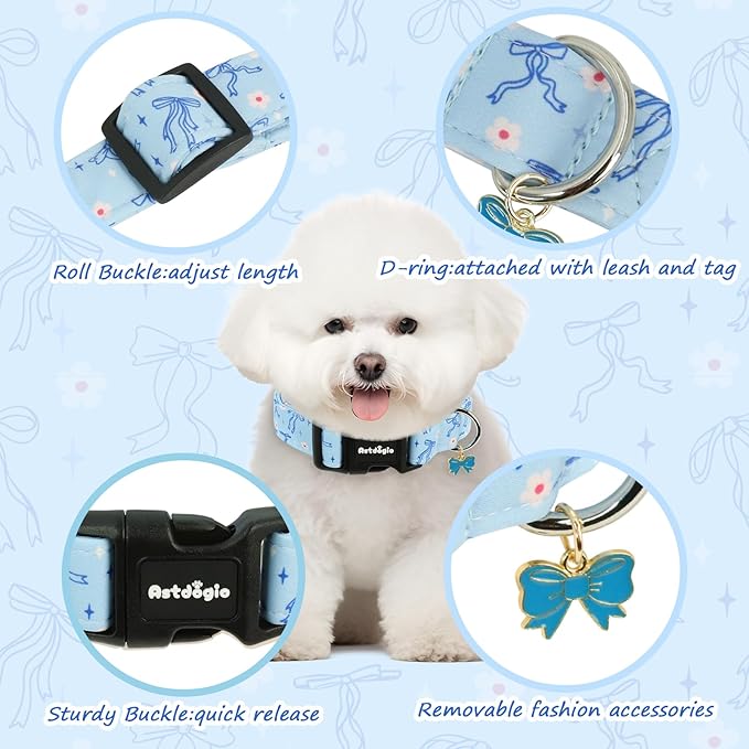 Medium Dog Collar, Girl Boy Dog Collars - Image 4