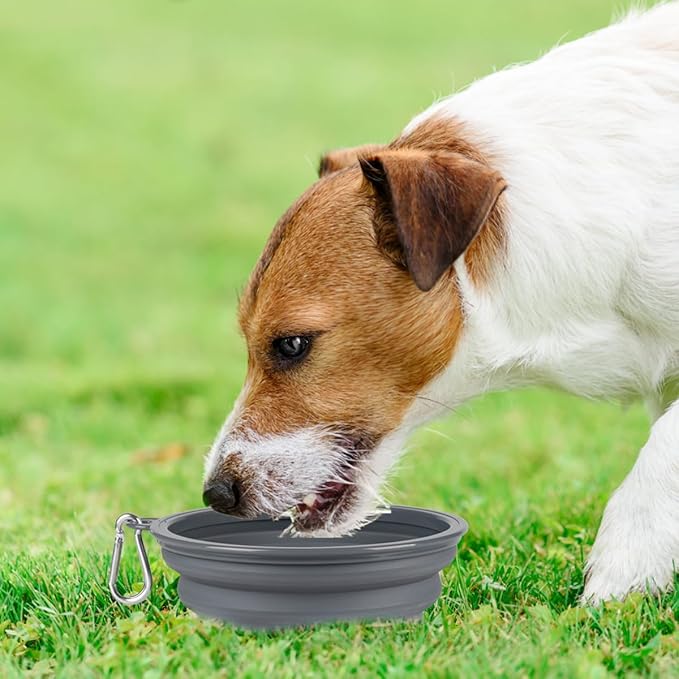 Kytely Collapsible Dog Bowls Medium, 2 Pack Travel Dog Bowls - Image 7